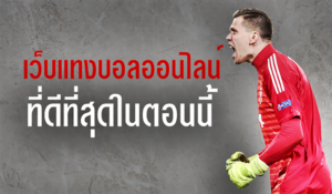 เว็บแทงบอล ครบวงจร